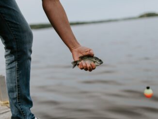 Spännande fisketips för barn och nybörjare illustration